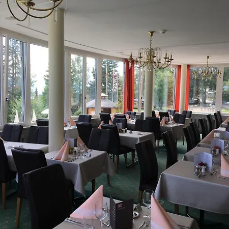 Alpine Dependance By Arenas Valaisia 3* Crans-Montana