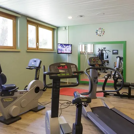 Alpine Dependance By Arenas Valaisia 3* Crans-Montana